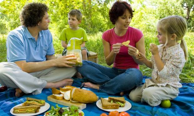 piquenique-familia-21779