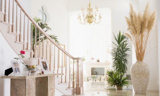 decoracao-planta-ar-seco-48070