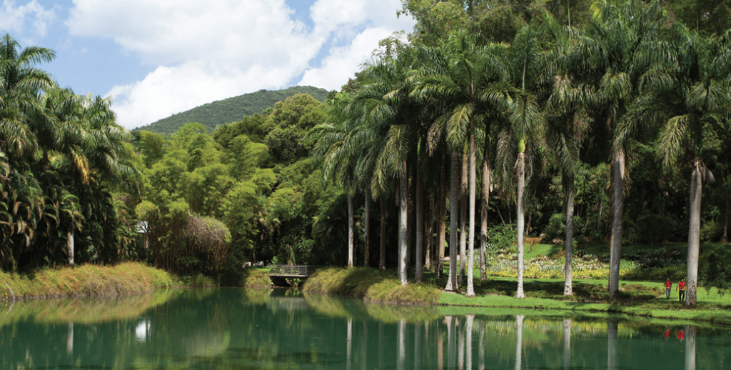 turismo-de-brumadinho