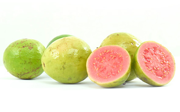 goiaba-fruta-catran-blog-outono