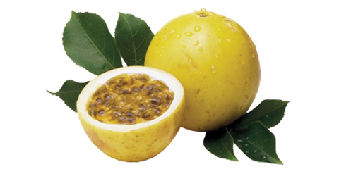 maracujá-catran-blog-fruta-outono