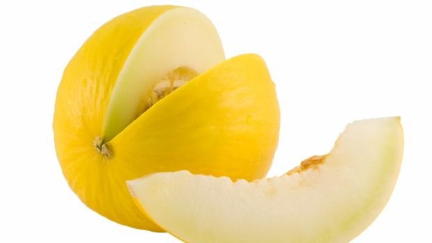 melao-fruta-catran-blog-outono