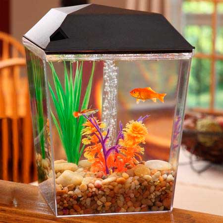 aquario-em-casa_3
